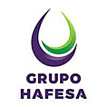 Hafesa